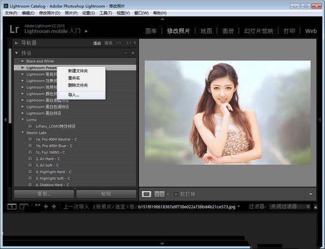 Lightroom Presets(LR人像预设)