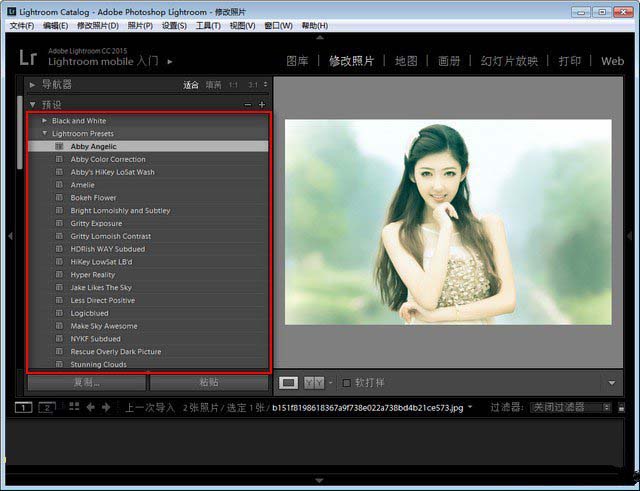 Lightroom Presets(LR人像预设)