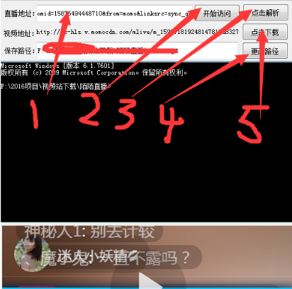 地瓜网络科技陌陌直播视频下载器