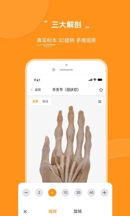 芝士医生